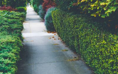 Can You Use Polyurea Coatings for Your Sidewalks?