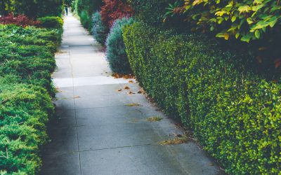 Can You Use Polyurea Coatings for Your Sidewalks?